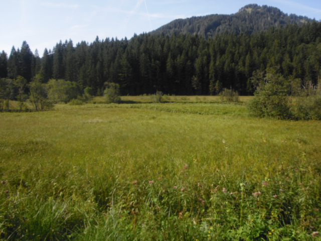 Wendelstein 2009 209